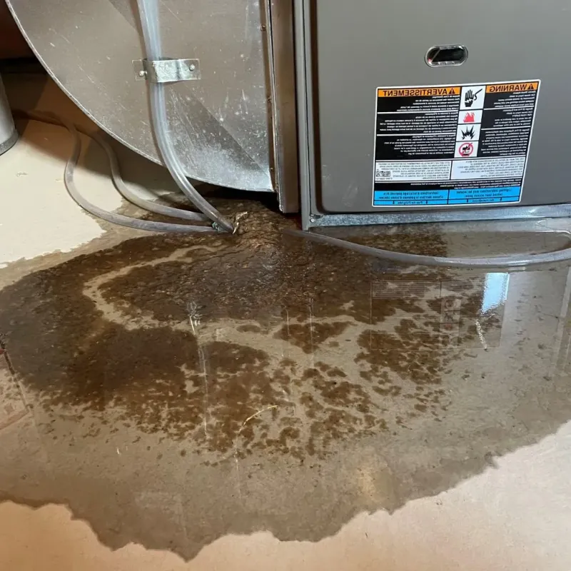 Pipe Burst and Leak Restoration in Cleves, OH